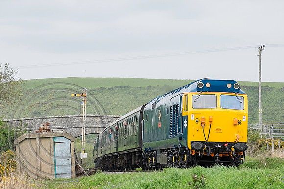 50035 Corfe Common 08052015