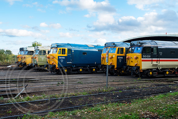 Class 50 line up SVR Kidderminster 03102018 - DSCF6521