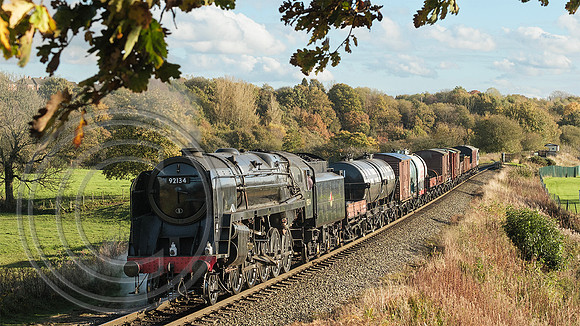 92134 Burrs 22102024 - DSCF1808