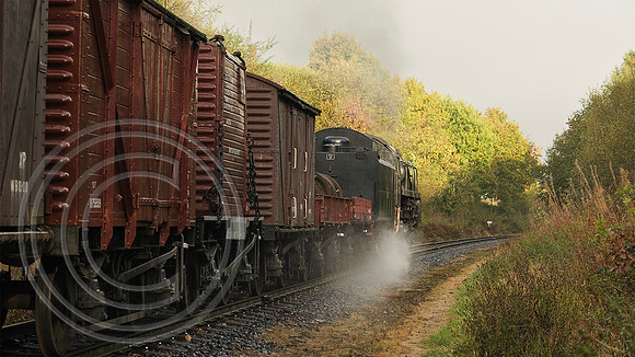 92134 Burrs 22102024 - DSCF1562