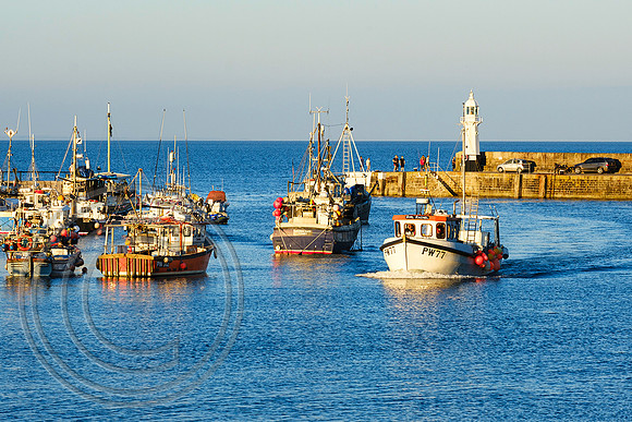 Mevagissey Harbour 15072021 - DSCF7478