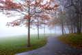 Autumn