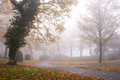 Seasons