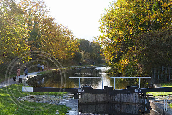 Calder and Hebble Navigation Elland 01112025 - DSCF1306