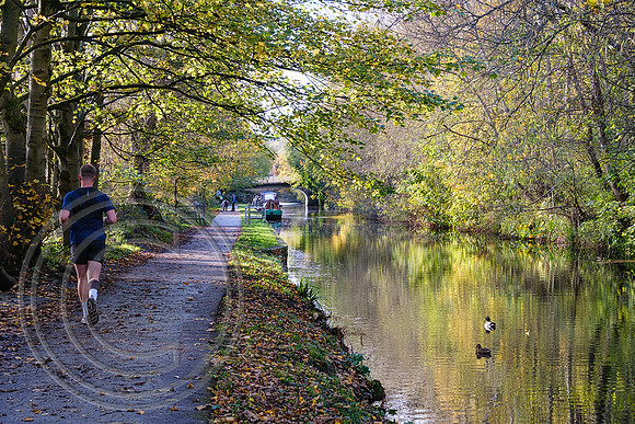 Calder and Hebble Navigation Elland 01112025 - DSCF1309