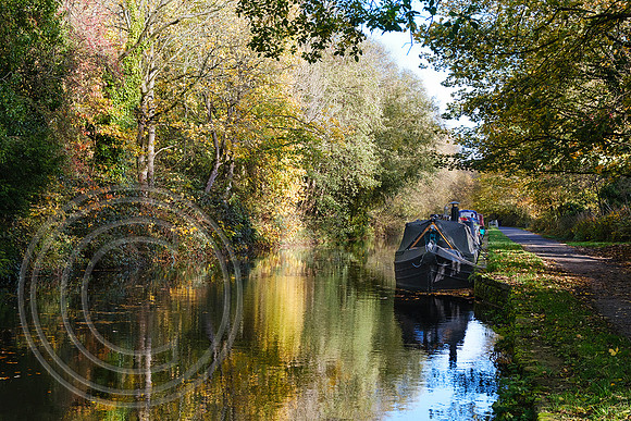 Calder and Hebble Navigation Elland 01112025 - DSCF1320