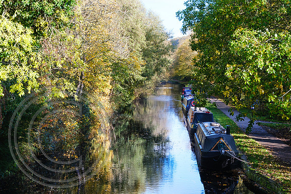 Calder and Hebble Navigation Elland 01112025 - DSCF1315