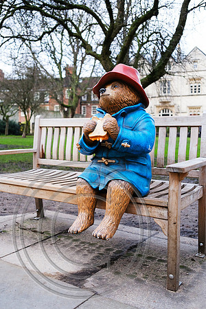 Paddington Bear York 16122025 - DSCF1556