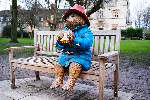 Paddington Bear York 16122025 - DSCF1557