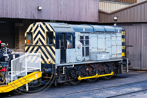 08266 Haworth Shed 26122025 - DSCF1572