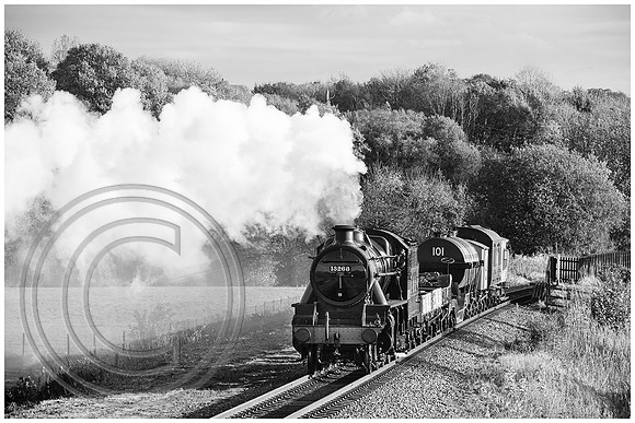 13268 Burrs Country Park 27102025 B&W Sfx - DSCF4460