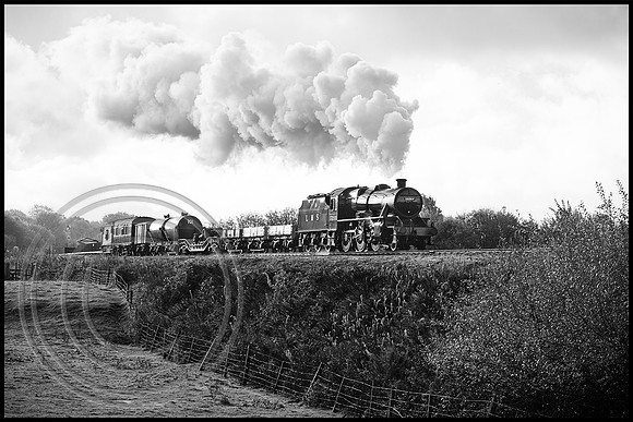 13268 Burrs Country Park 27102025 B&W Sfx - DSCF4210