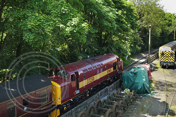 37250 Haworth 21062024 - DSCF0874