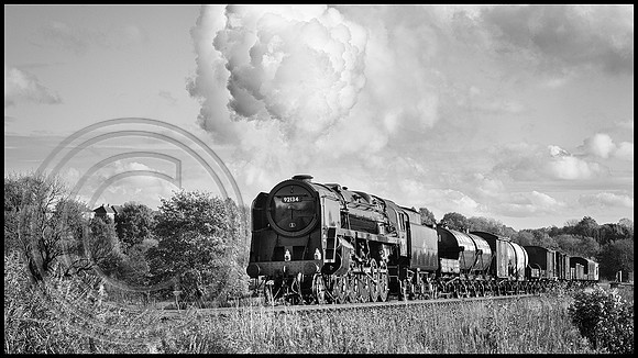 92134 Burrs 22102024 B&W Sfx - DSCF1762