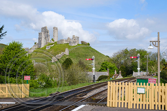 Corfe Castle  05052022 - DSCF4165