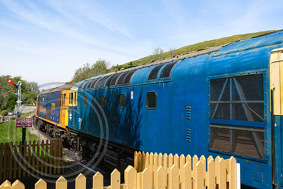 73136+33111 1R10 Corfe Castle 06052022 - DSCF8550