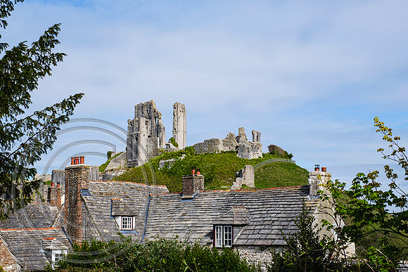 Corfe Castle  05052022 - DSCF4151