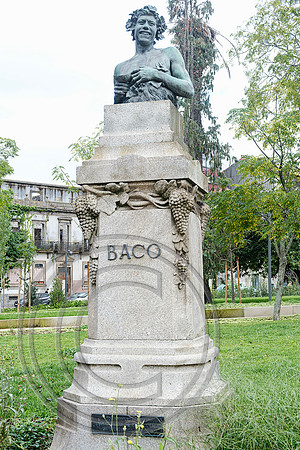 Bacchus Porto 08092026 - DSCF3125