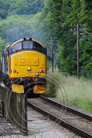 37403+37075 Ingrow West 23062023 - DSCF1260
