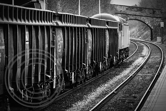 Black & White Scrap