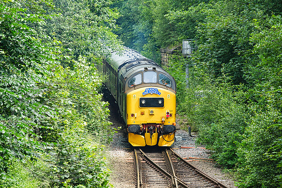37422 1Z41 Bradley Jn 04072021 - DSCF1034