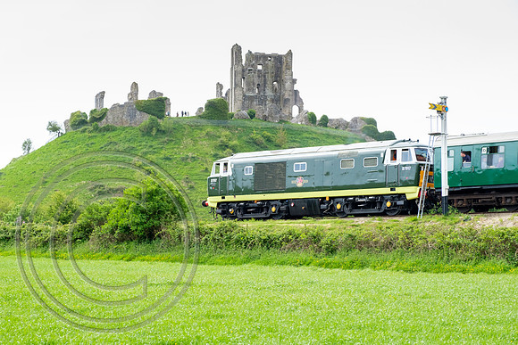 D7017 2N05 Corfe Castle 11052018 - DSCF3816
