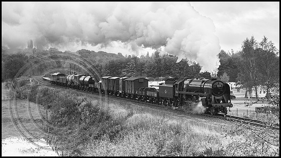 92134 Burrs 22102024 B&W Sfx - DSCF1517
