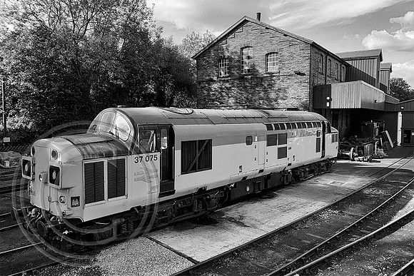 37075 Haworth shed 17092022 B&W SFx - IMG_7318