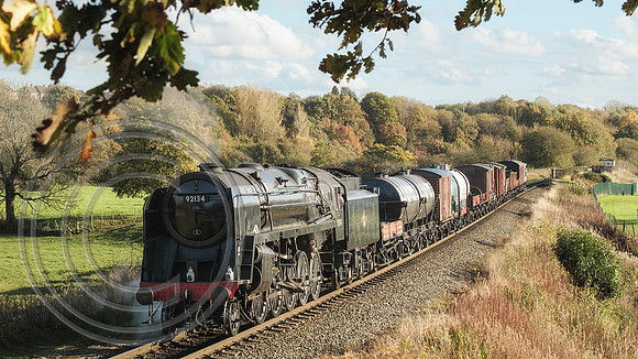 92134 Burrs 22102024 Cfx - DSCF1808