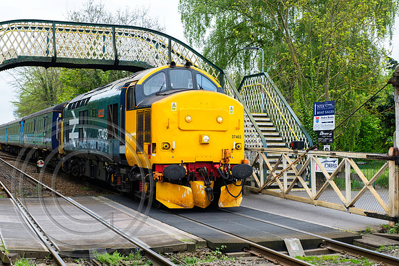 37403 2P17 Brundall 04052017 - DSCF7449
