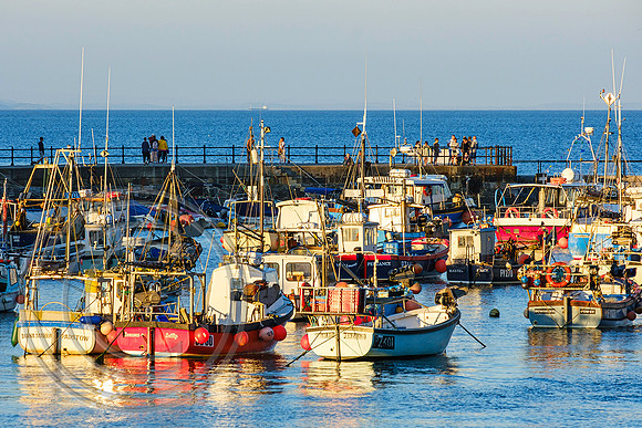Mevagissey Harbour 15072021 - DSCF7482