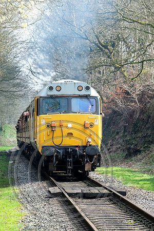 50015 Summerseat 14042018 - DSCF3100 portrit
