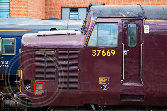 37669 York 03082017 - DSCF9593