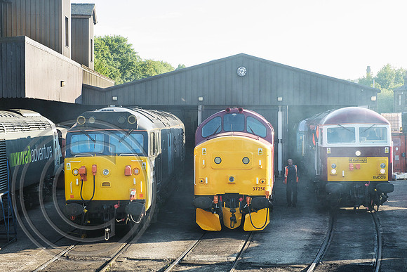 50008 37250 69009 Haworth Shed 21062024 - DSCF0763
