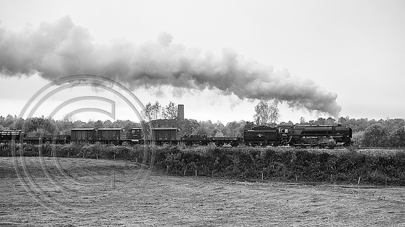 92134 Burrs 22102024 B&W Sfx - DSCF1508
