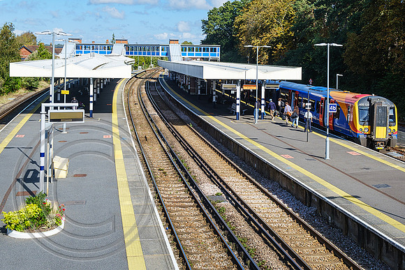 450121 1J32 Brockenhurst 24092023 - DSCF1498