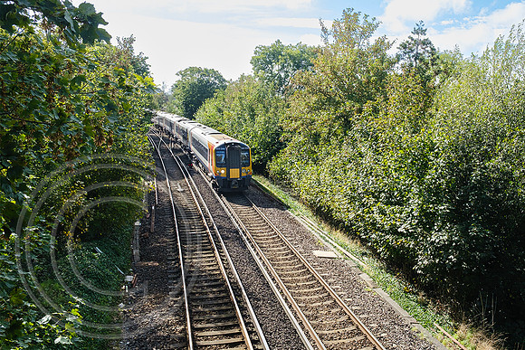 444044+444019 1W48 Brockenhurst 24092023 - DSCF1503