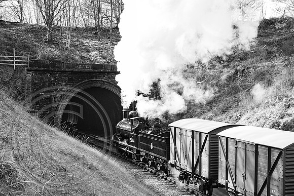 52044 Mytholmes Tunnel 27032023 B&W Acros - DSCF6055