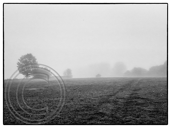Misty Autumn 11092022 B&W - IMG_7296