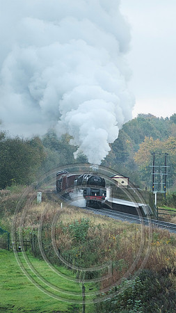 92134 Burrs 22102024 - DSCF1514