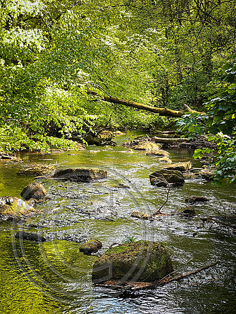 Hardcastle Crags 10052025 - IMG_9815
