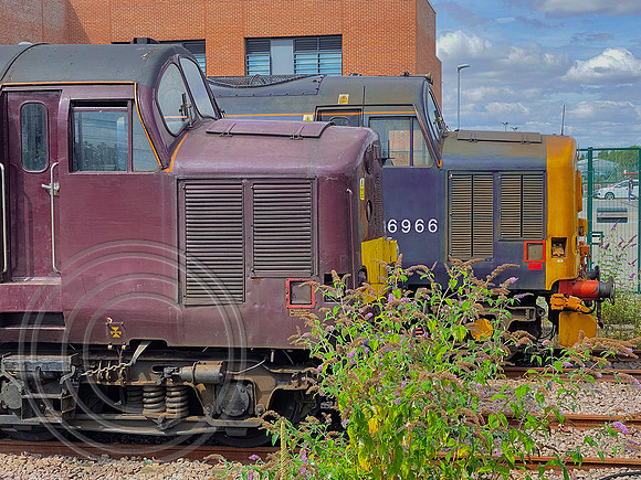37516+37422 York Parcels Sidings 06082022 - IMG_7228