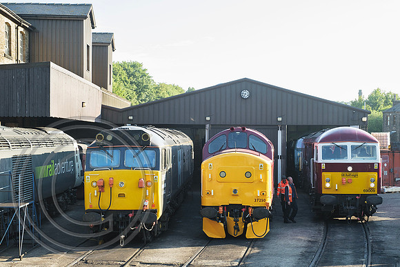 50008 37250 69009 Haworth Shed 21062024 - DSCF0764