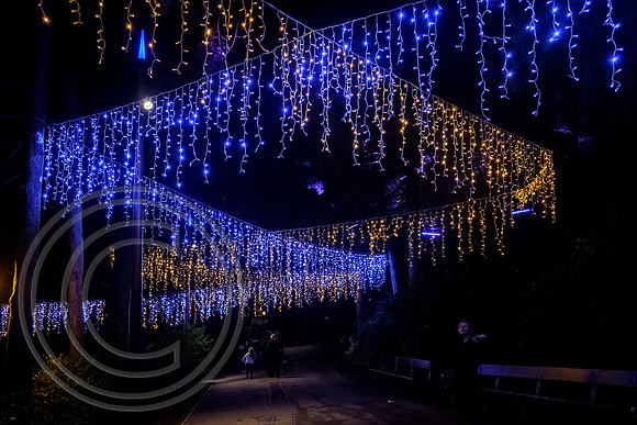 Christmas lights Bournemouth 30112018 - DSCF7181