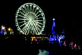 Bournemouth Christmas Tree Wonderland  2018