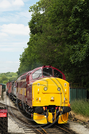 37250 Ingrow West 21062024 - DSCF0922