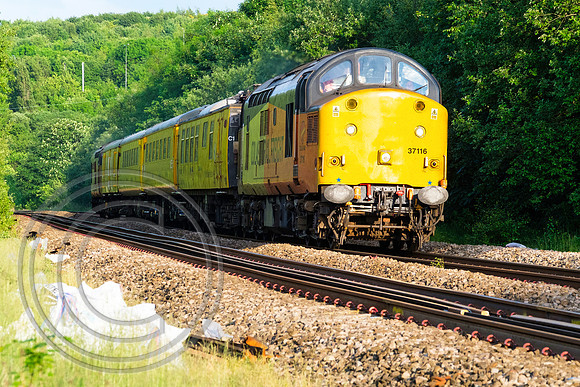 37116 1Q67 Brighouse 01062017 - DSCF8023