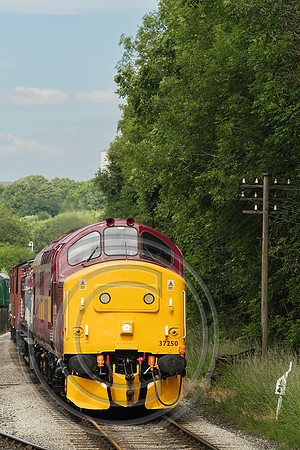 37250 Ingrow West 21062024 - DSCF0919