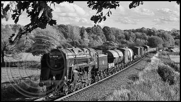 92134 Burrs 22102024 B&W Sfx - DSCF1808