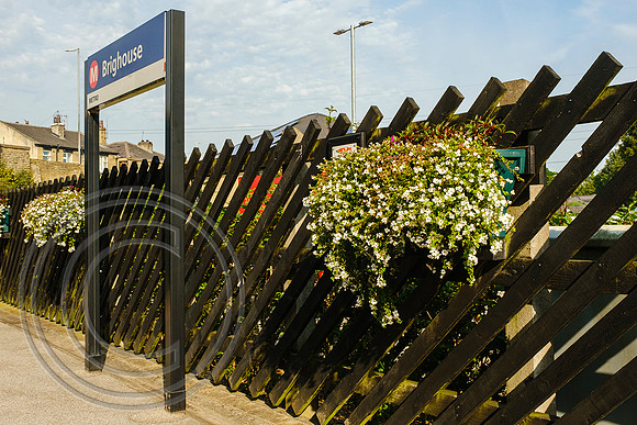 Flower troughs at Brighouse 15092020 - DSCF8219